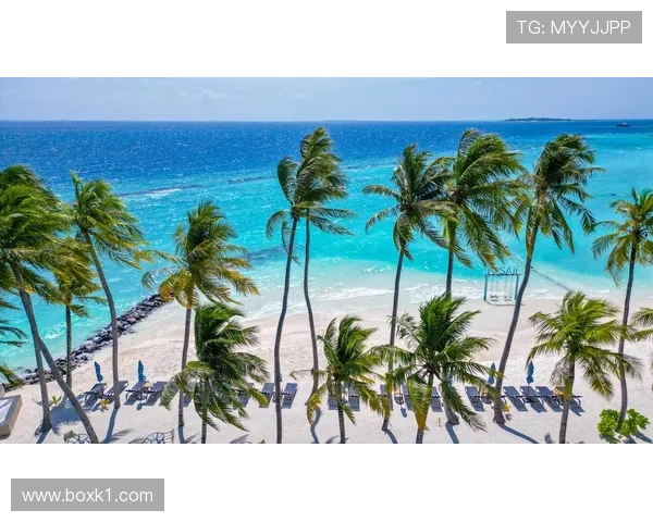 大阪刚在马尔代夫私人海岛过完30岁生日，回训练场喝电解质水像打卡上班