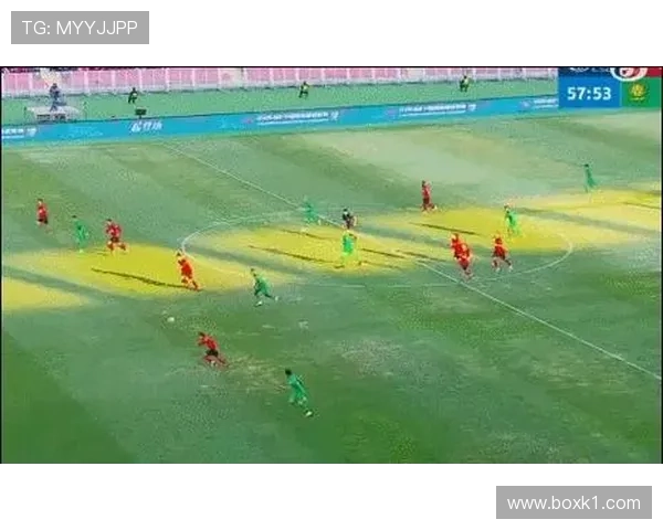 假动作规则：比赛中可用，但完成助跑后的点球假踢属犯规并须黄牌