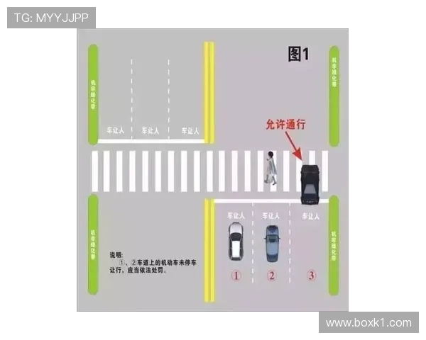 阻挡犯规是什么规则?新手必知的判罚标准解析 阻挡犯规是什么规则?新手必知的判罚标准解析